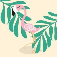 cute pink flamingo  tropical vector