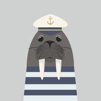 walrus captain with sailor vector