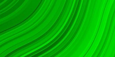Light Green layout with curves. vector