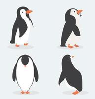 Cute penguin characters in different poses set vector