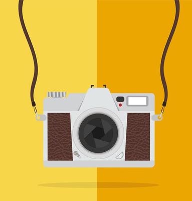 Flat style vintage camera