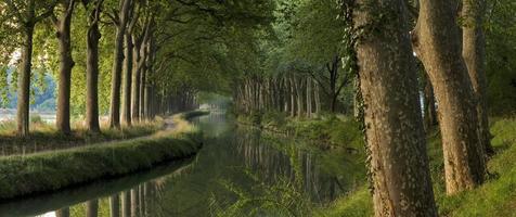 Canal du Midi in the morning (panorama)