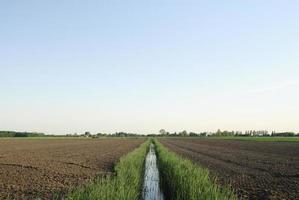 Tierras de cultivo con zanja durante el verano en los Países Bajos