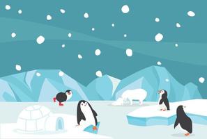 pingüinos y osos jugando en el paisaje ártico vector