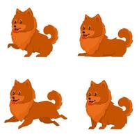 Spitz dog in different poses vector