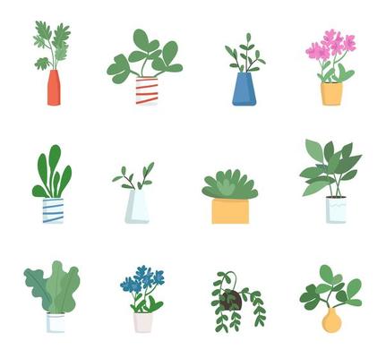 Houseplants objects set