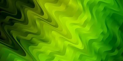 Light Green background with bows. vector