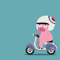 Cute pig wearing a helmet and riding a motorbike vector