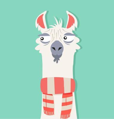 Alpaca with scarf