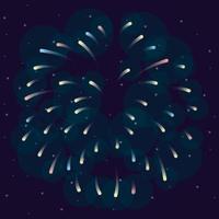 Fireworks burst explosion in the sky at night vector