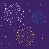 Fireworks burst explosion in the sky at night vector