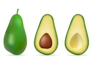 Green avocado fresh ripe fruit set vector