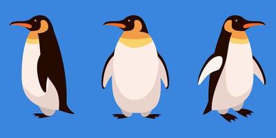 pingüino en diferentes ángulos. vector