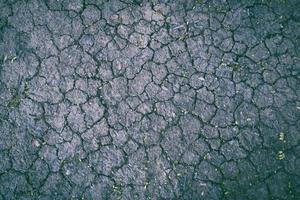 Dried gray surface covered with multiple cracks photo