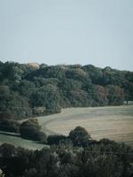 Landscape with forest photo