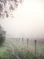 Fence in the fog photo