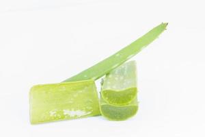 Sliced aloe vera on white background photo