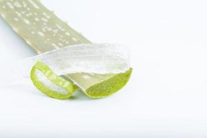 Sliced aloe vera on white background photo