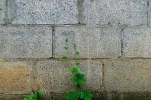 Vintage stone wall photo