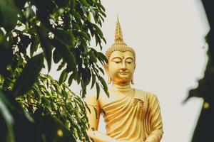 Buddha statue in Thailand photo