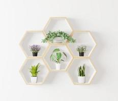 estante de madera hexagonal con plantas mínimas en maqueta