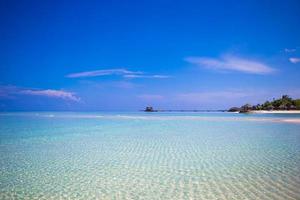 playa tropical con agua clara