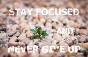 Stay focused and never give up inspirational quote photo