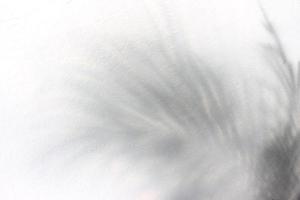 Abstract gray shadow background photo