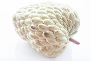 One custard apple on a white background photo