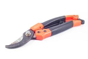 Pruning shears on white background photo