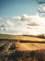 Sunny clouded fields photo