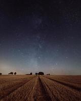 campo de arroz bajo las estrellas foto