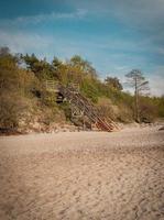 Brown wooden stair at the beach photo