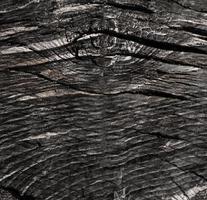 Wood grain texture photo