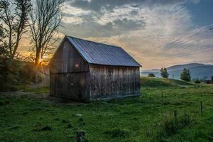 Brown wooden shed surrounded by green grass photo