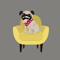 Happy pug dog on a chair vector