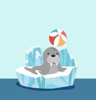 Sealion on ice floe with beach ball vector