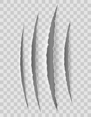 Scratch claw cuts paper with transparent shadows