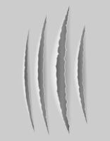 Scratch claw cuts paper on white vector