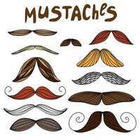 Mustaches set on flat style vector