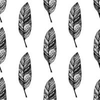 Pattern with feathers. vector