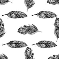 Pattern with feathers. vector