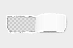 Torn paper edge for design with transparent space vector