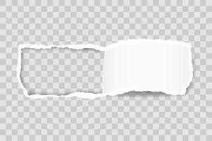 Torn paper edge for design with transparent space template vector