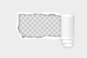 Torn paper edge for design with transparent space template vector