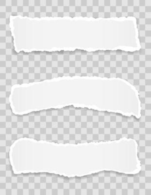 Torn paper edge for design with transparent space set