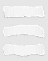 Torn paper edge for design set vector