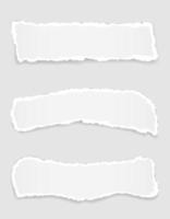 Torn paper edge for design set vector