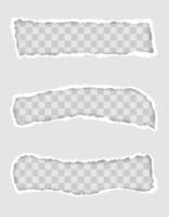 Torn paper edge for design with transparent space template set vector