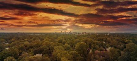 Aerial view of trees at sunset photo